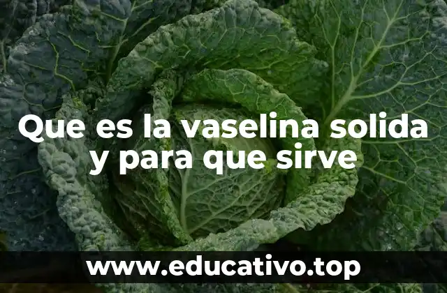Que es la vaselina solida y para que sirve