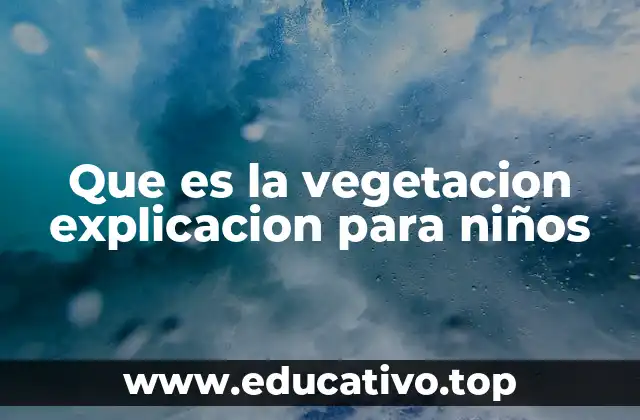 Que es la vegetacion explicacion para niños