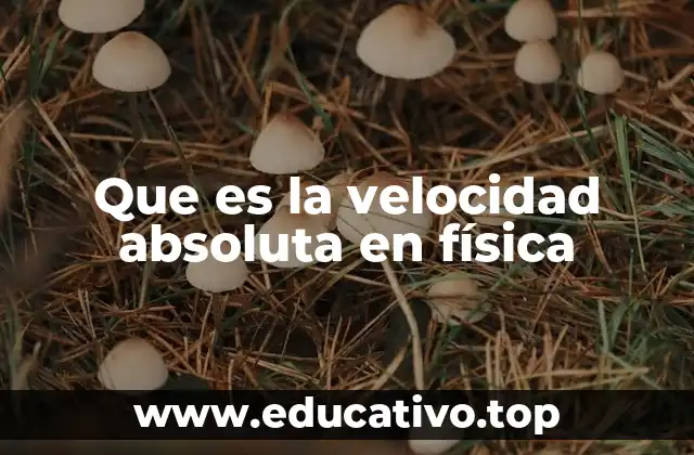 Que es la velocidad absoluta en física