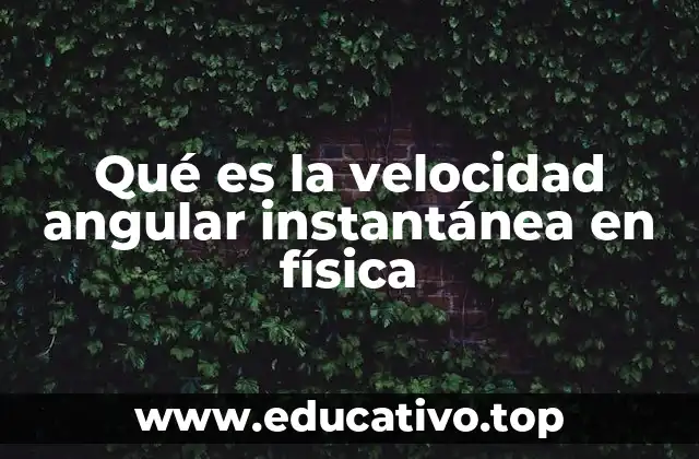 Qué es la velocidad angular instantánea en física