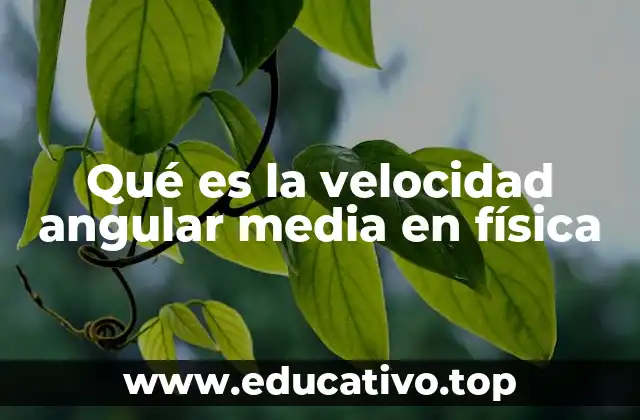 Qué es la velocidad angular media en física