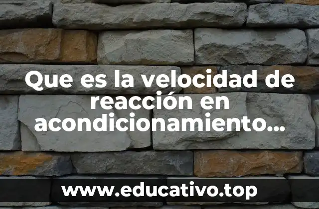 La importancia de la reacción rápida en el rendimiento deportivo