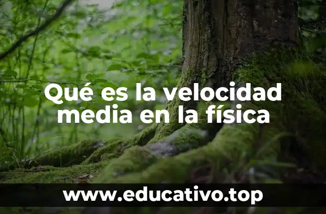Qué es la velocidad media en la física