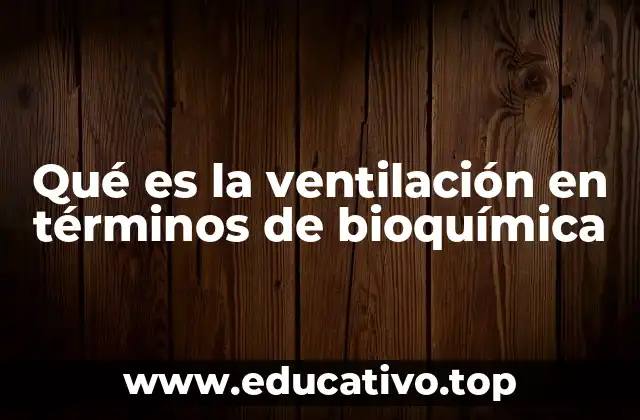 Qué es la ventilación en términos de bioquímica
