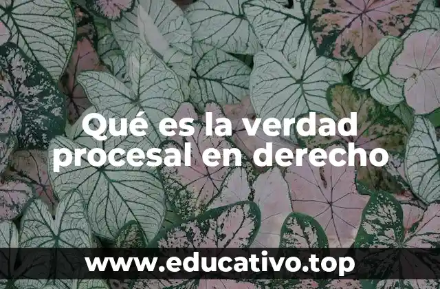 Qué es la verdad procesal en derecho