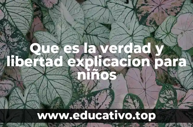 Que es la verdad y libertad explicacion para niños