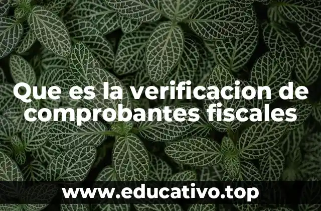 Que es la verificacion de comprobantes fiscales
