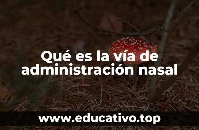 Qué es la vía de administración nasal