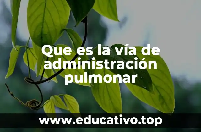 Que es la vía de administración pulmonar