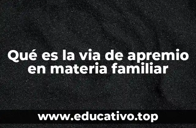 Qué es la via de apremio en materia familiar