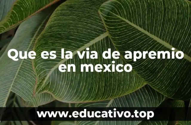 Que es la via de apremio en mexico