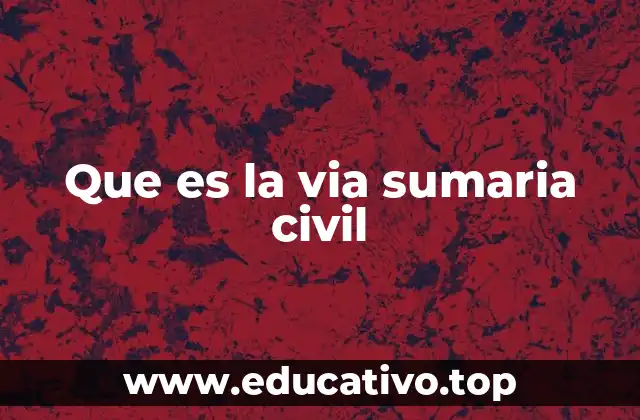 Que es la via sumaria civil