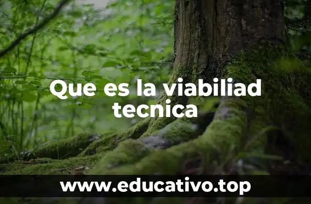 Que es la viabiliad tecnica