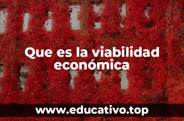Que es la viabilidad económica