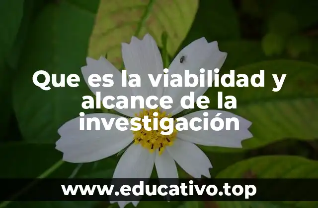 La importancia de definir límites en un estudio científico