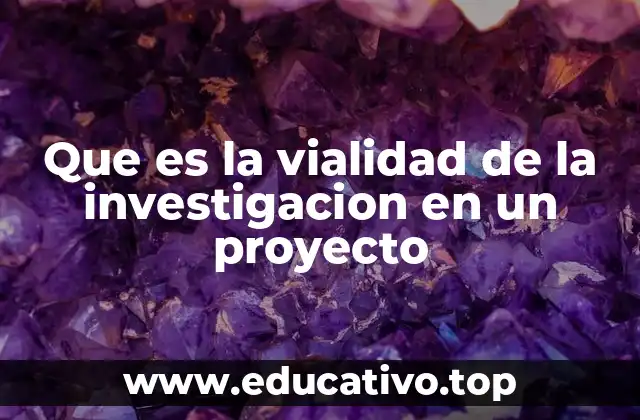 Que es la vialidad de la investigacion en un proyecto