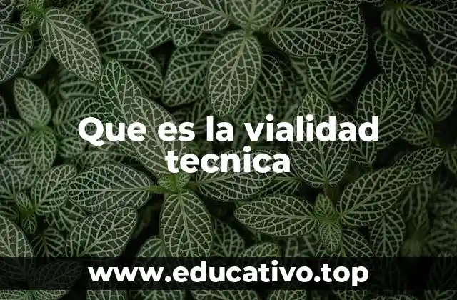 Que es la vialidad tecnica
