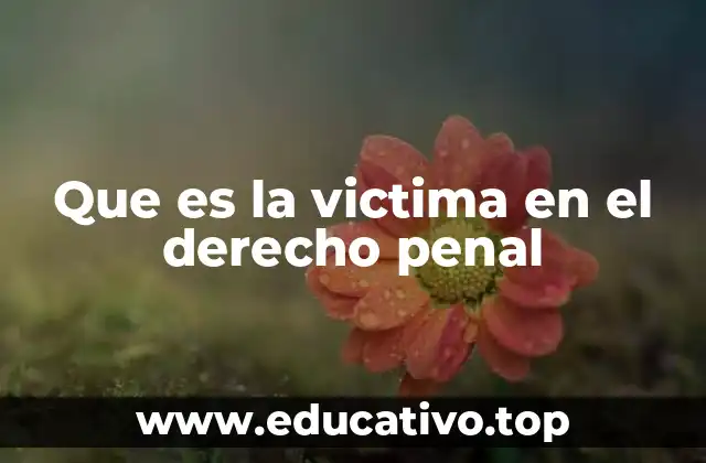 El rol de la víctima en el sistema penal