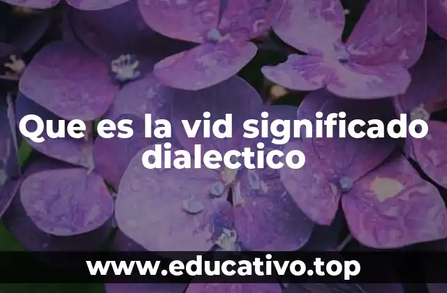 Que es la vid significado dialectico