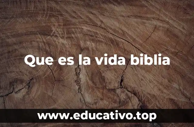 Que es la vida biblia