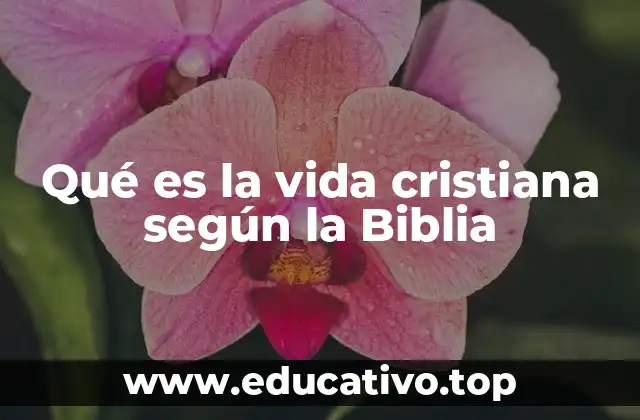 Qué es la vida cristiana según la Biblia