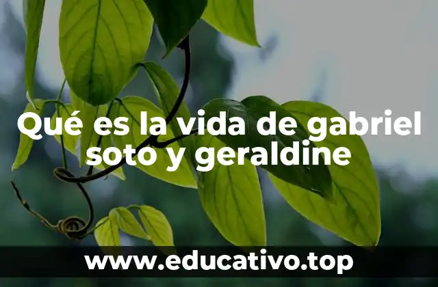 Qué es la vida de gabriel soto y geraldine