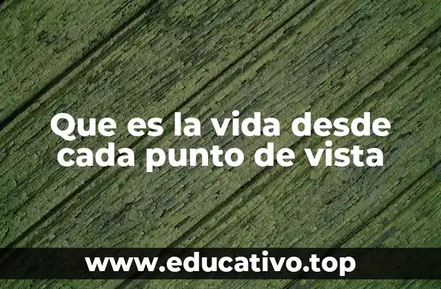 Que es la vida desde cada punto de vista