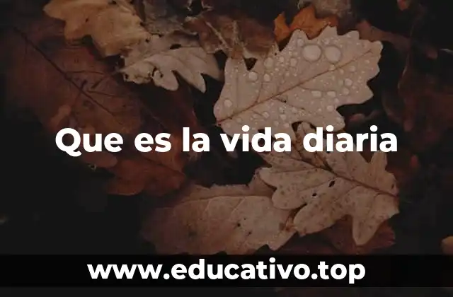 Que es la vida diaria