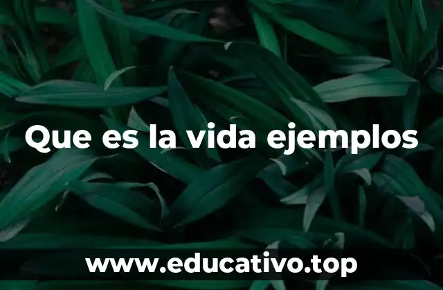 La existencia humana a través de múltiples dimensiones