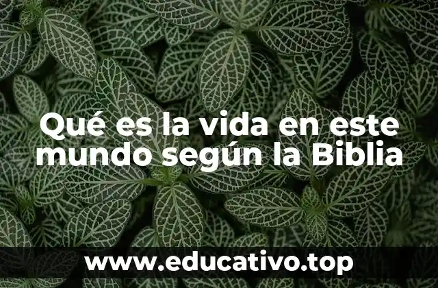 Qué es la vida en este mundo según la Biblia