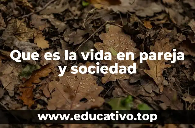 Que es la vida en pareja y sociedad