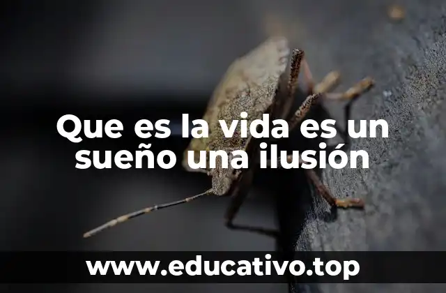 Que es la vida es un sueño una ilusión