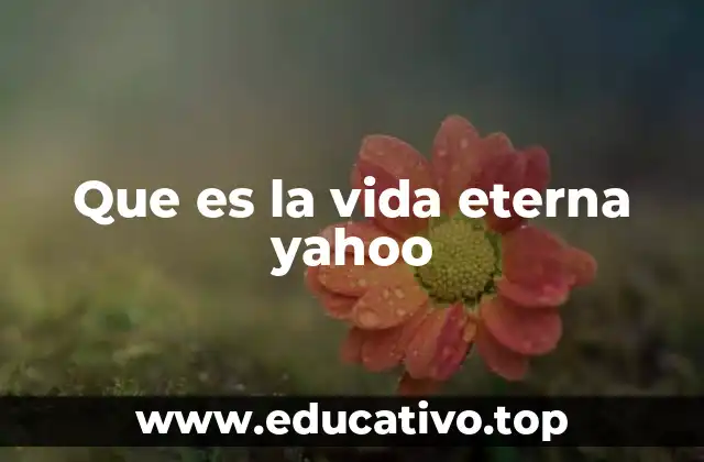 Que es la vida eterna yahoo