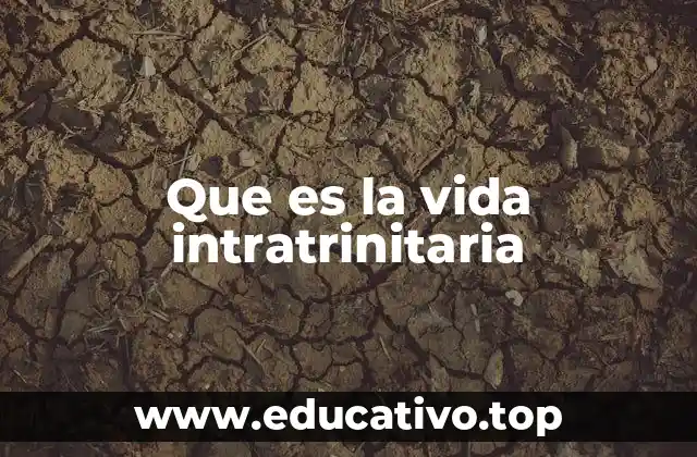 Que es la vida intratrinitaria