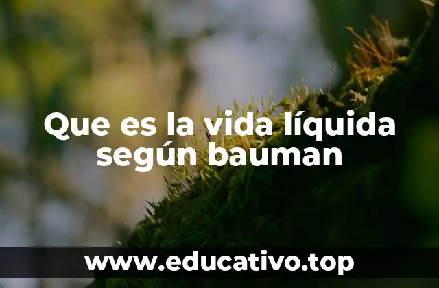 Que es la vida líquida según bauman