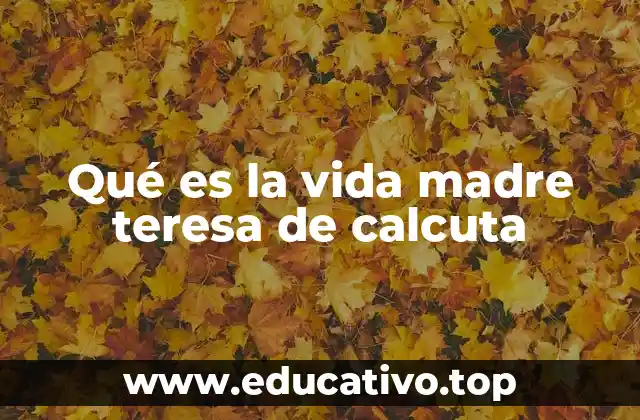 Qué es la vida madre teresa de calcuta