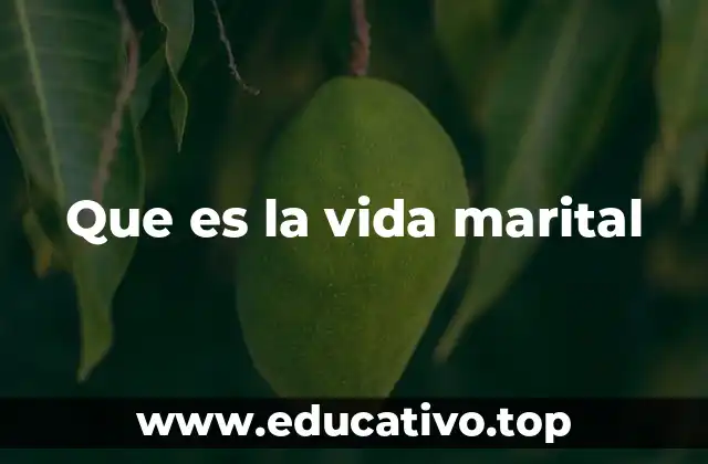 Que es la vida marital