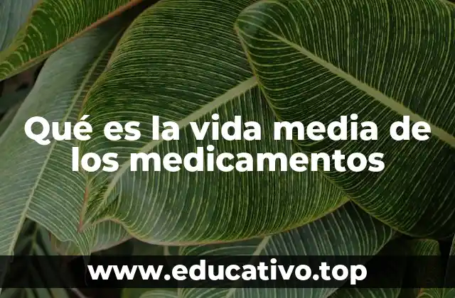 Qué es la vida media de los medicamentos