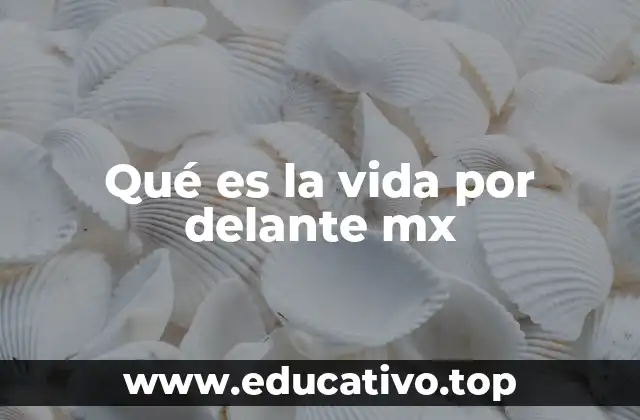 Qué es la vida por delante mx