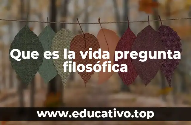 Que es la vida pregunta filosófica