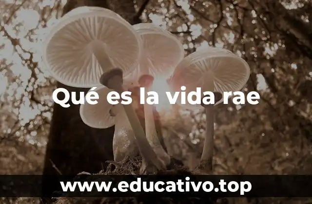 Qué es la vida rae