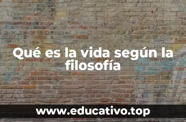Qué es la vida según la filosofía