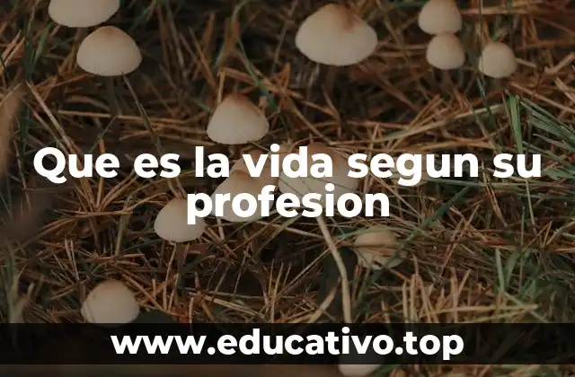 Que es la vida segun su profesion