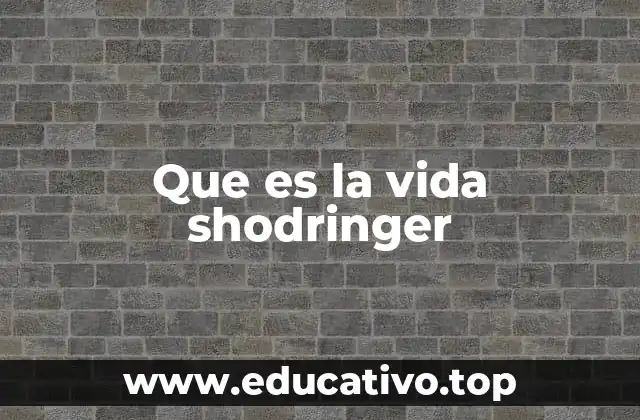 Que es la vida shodringer