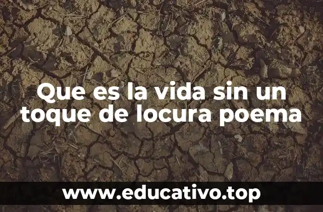 Que es la vida sin un toque de locura poema