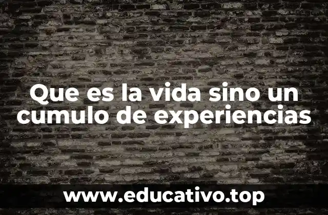 Que es la vida sino un cumulo de experiencias
