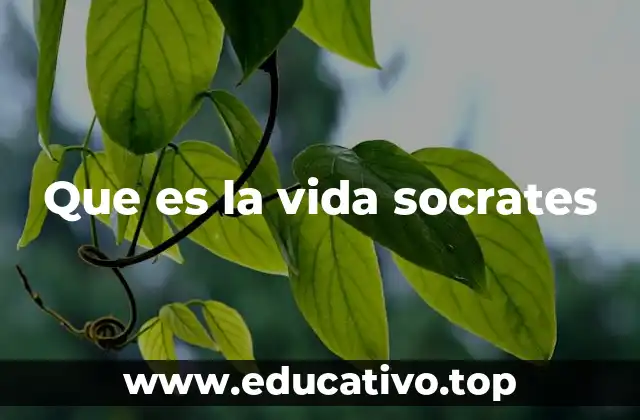 Que es la vida socrates