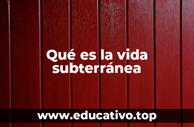 El misterioso universo bajo la tierra