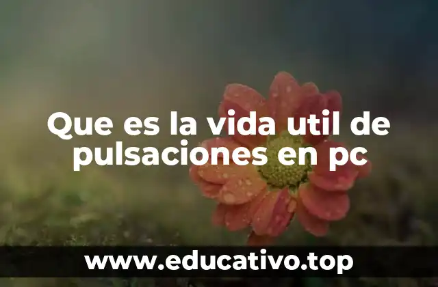 Que es la vida util de pulsaciones en pc