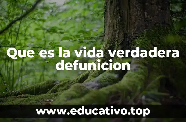 Que es la vida verdadera defunicion
